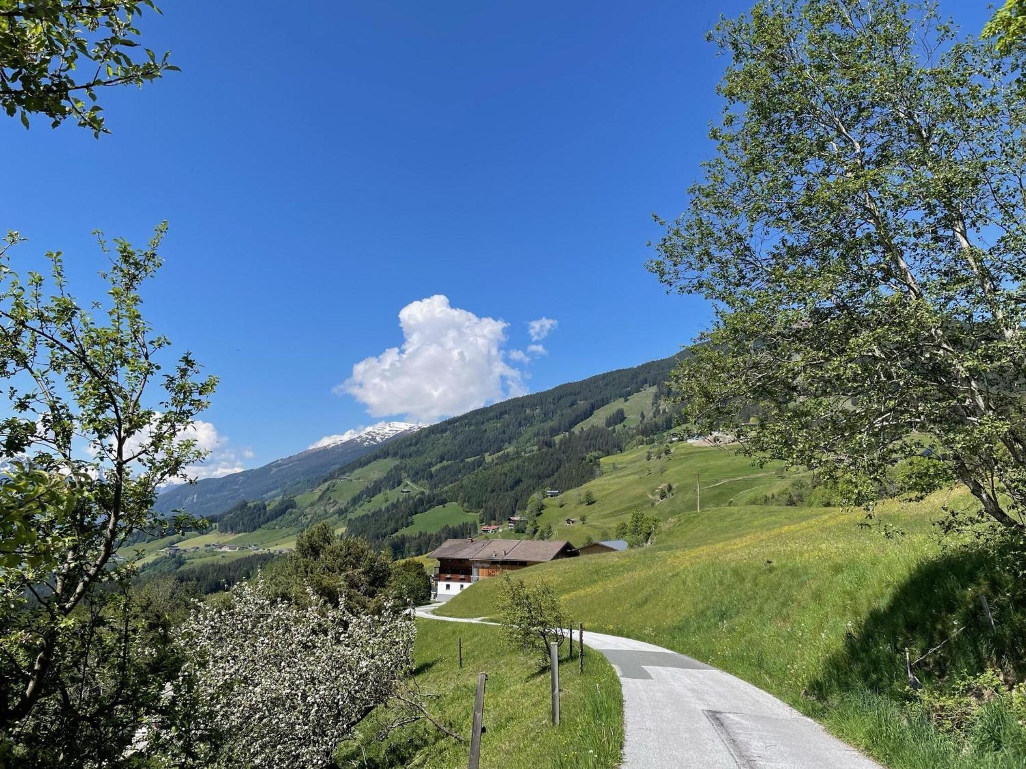 Holiday Flat Motzerngut, Mittersill Esterno foto